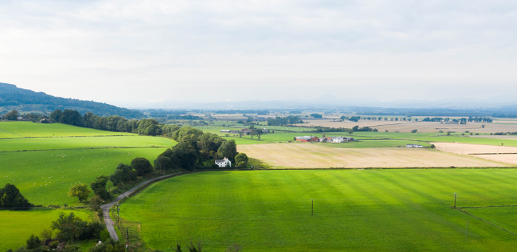 Cambusbarron surroundings