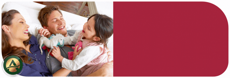 Magnificent 3 bedroom homes - All rear garden south-west facing