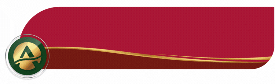 Carluke-Plots-New Release Ad