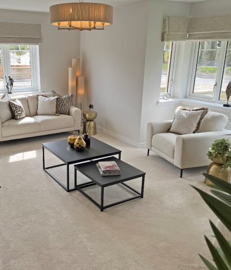 Carluke-lounge2-mob