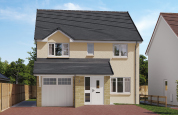 Plot 41